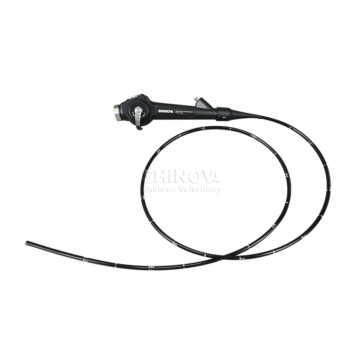 Endoscope vétérinaire portable (5,8 mm)
