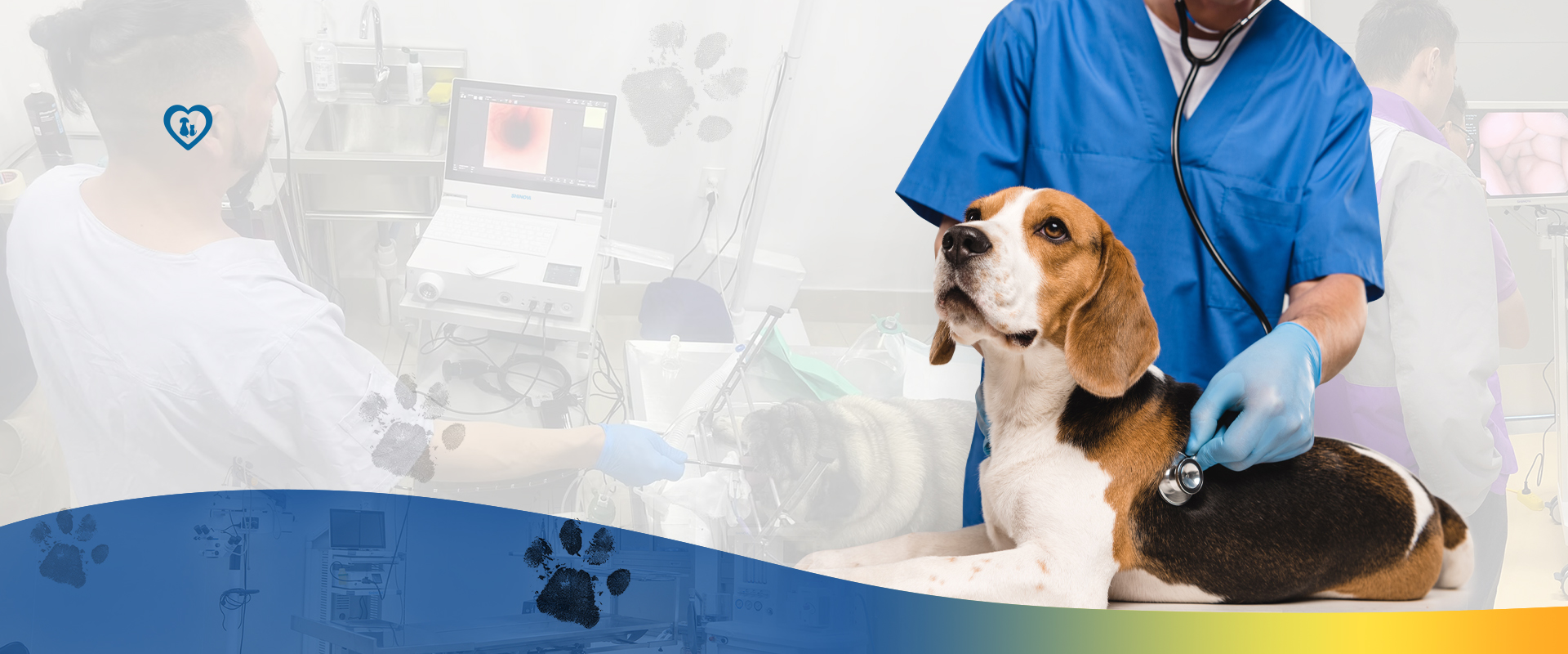 PROFESSIONAL VETERINARY EQUIPMENT MANUFACTURERAnd Clinic Solutions Provider