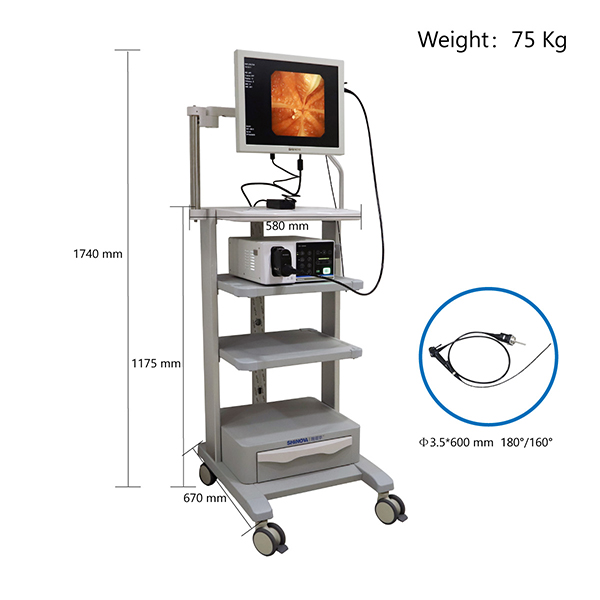 Gastroscope vidéo vétérinaire 