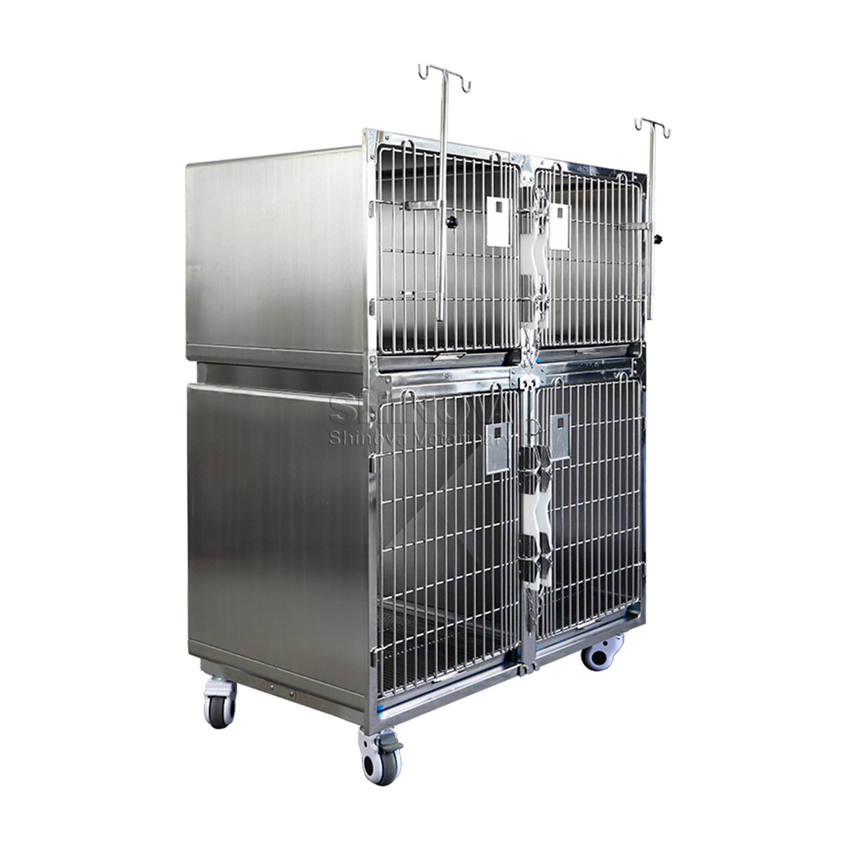 Cage de chiens modulaires en acier inoxydable
