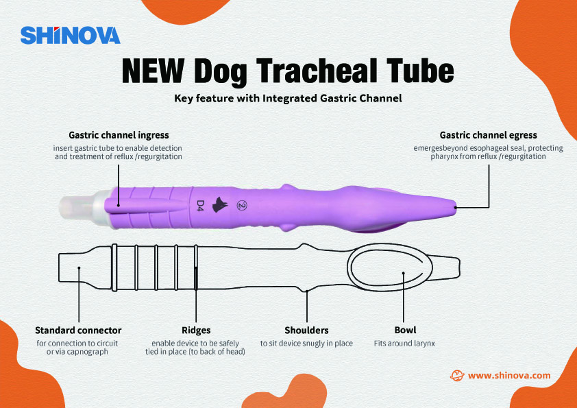 Tube trachéal de chien- 盲插【印刷】