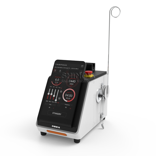 Système de thérapie laser à diodes vétérinaires portables