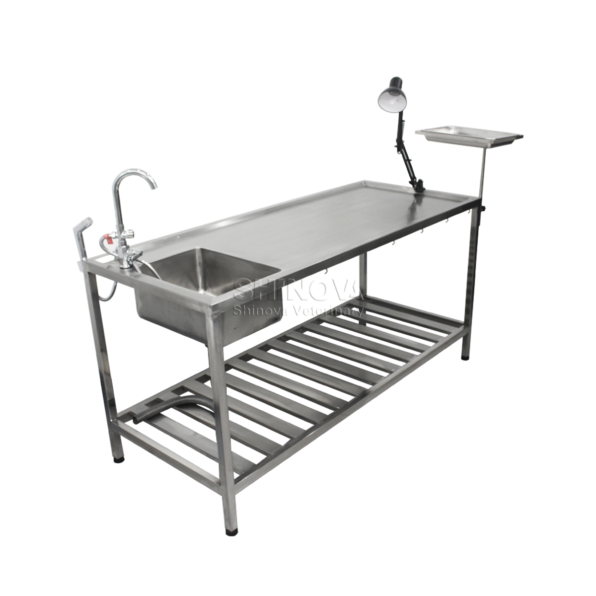 Table de dissection d'animaux en acier inoxydable