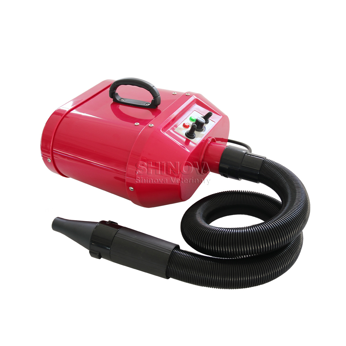Bluant pour animaux de compagnie à double moteur