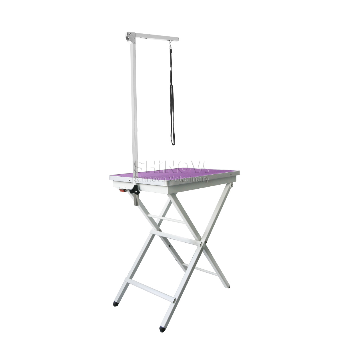Table de toilettage pliable portable