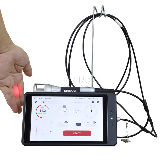 Système laser à diode vétérinaire