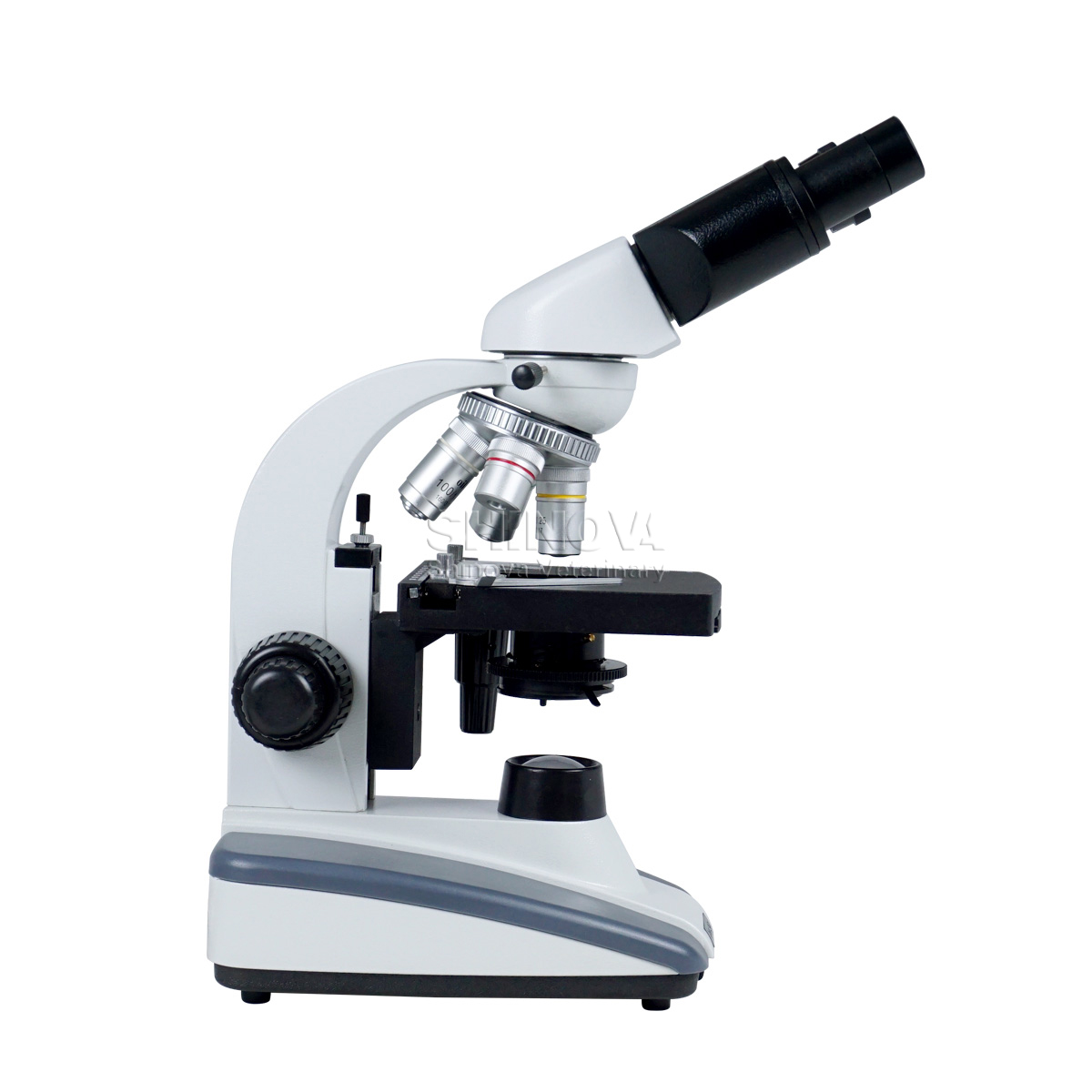 Microscope biologique