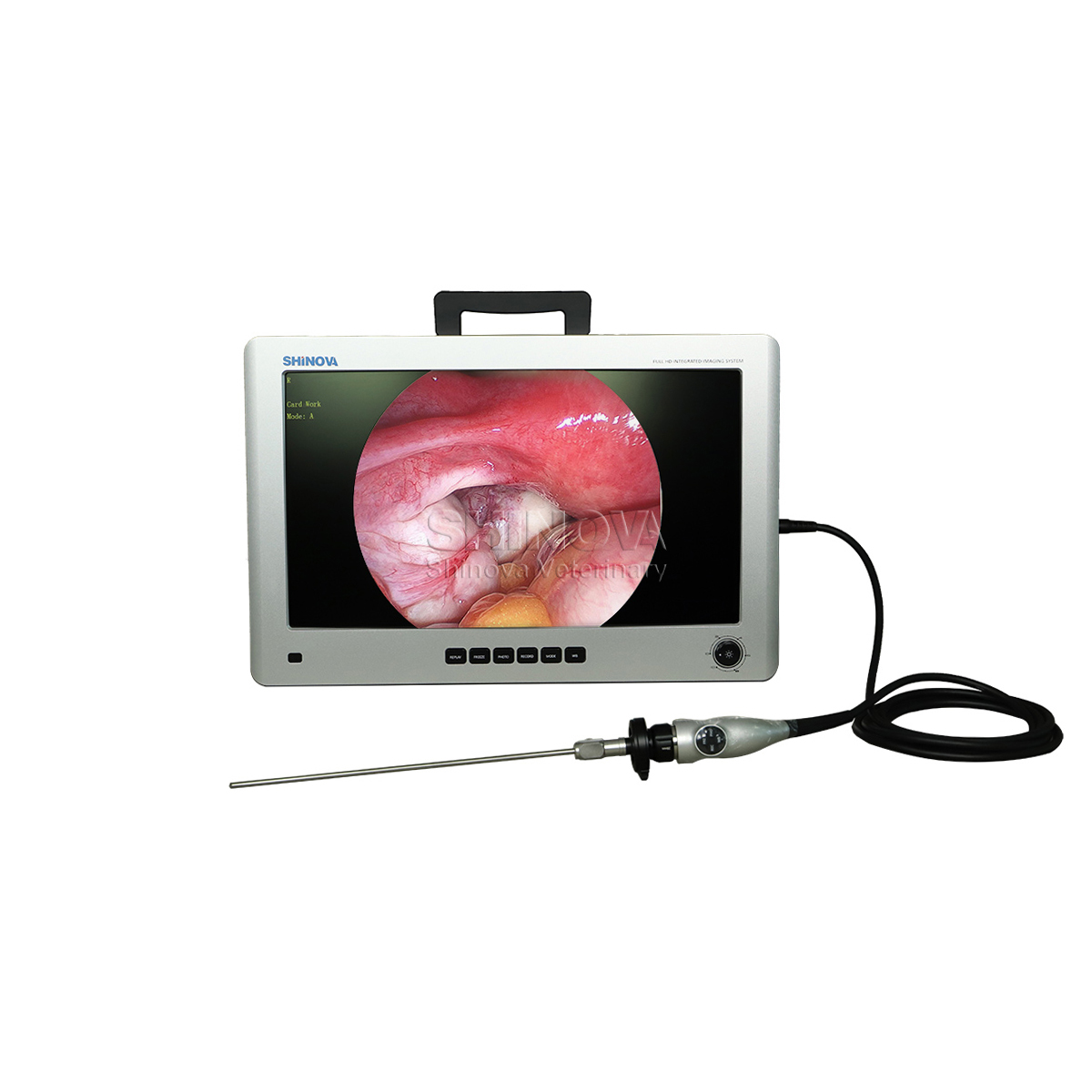 Tour de laparoscope vétérinaire