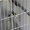 Cage de chat en acier inoxydable de haute qualité