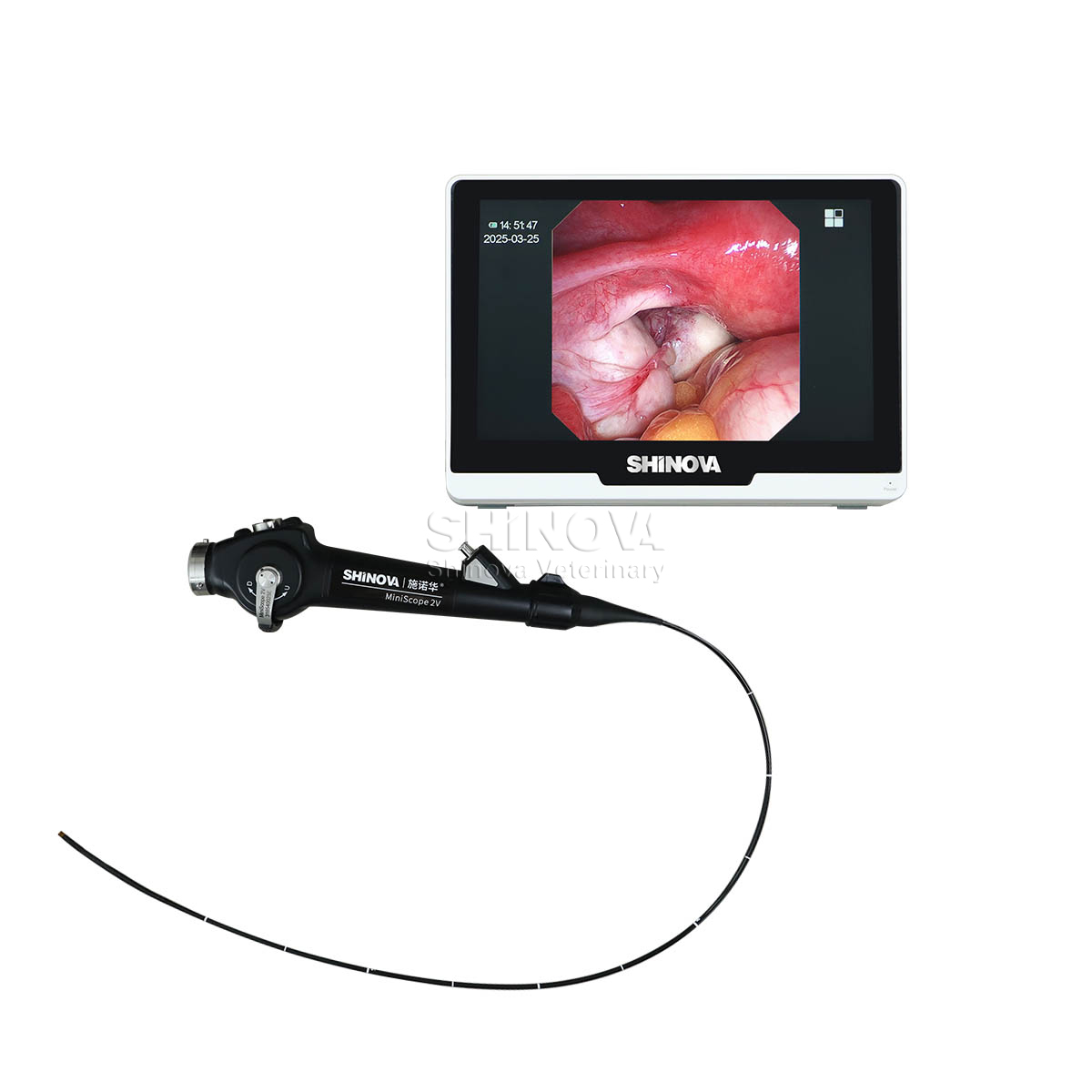 Endoscope vétérinaire portable (2,8 mm)