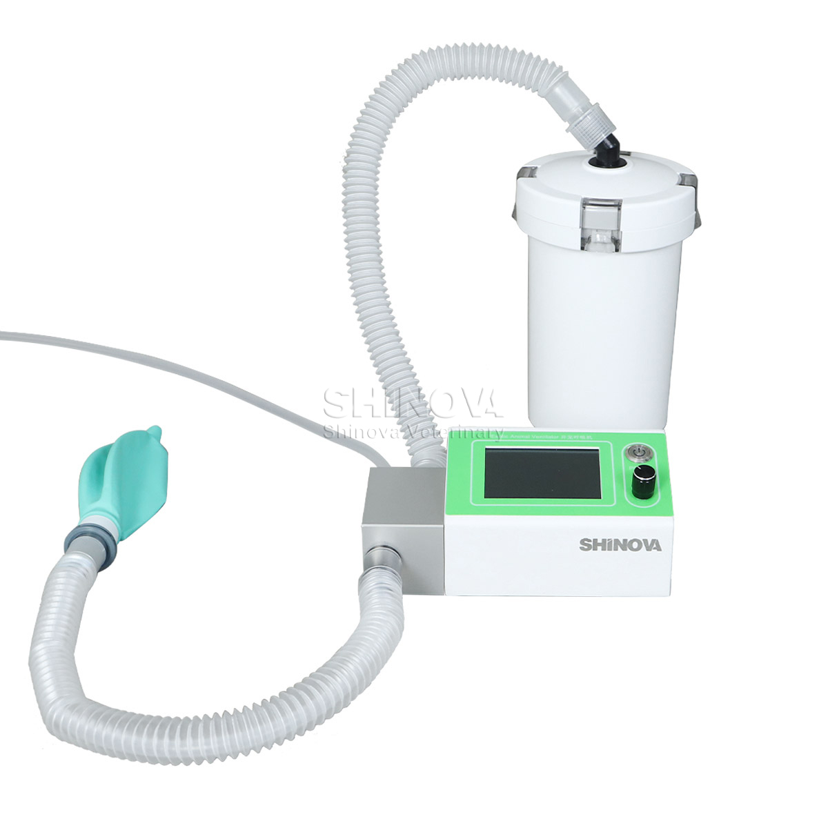 Ventilateur animal exotique
