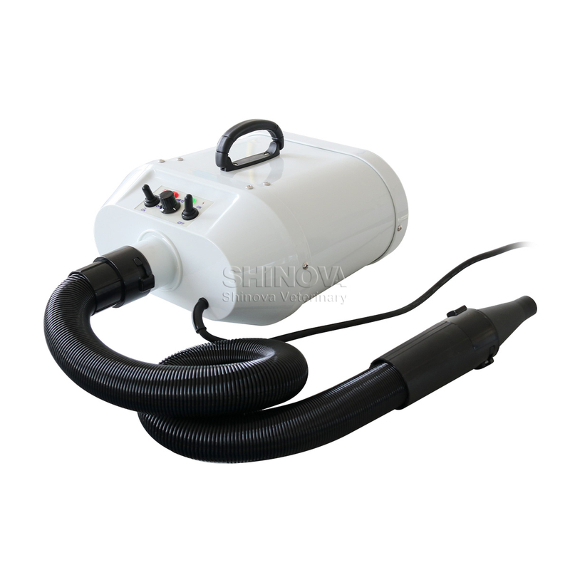 Bluant pour animaux de compagnie à double moteur