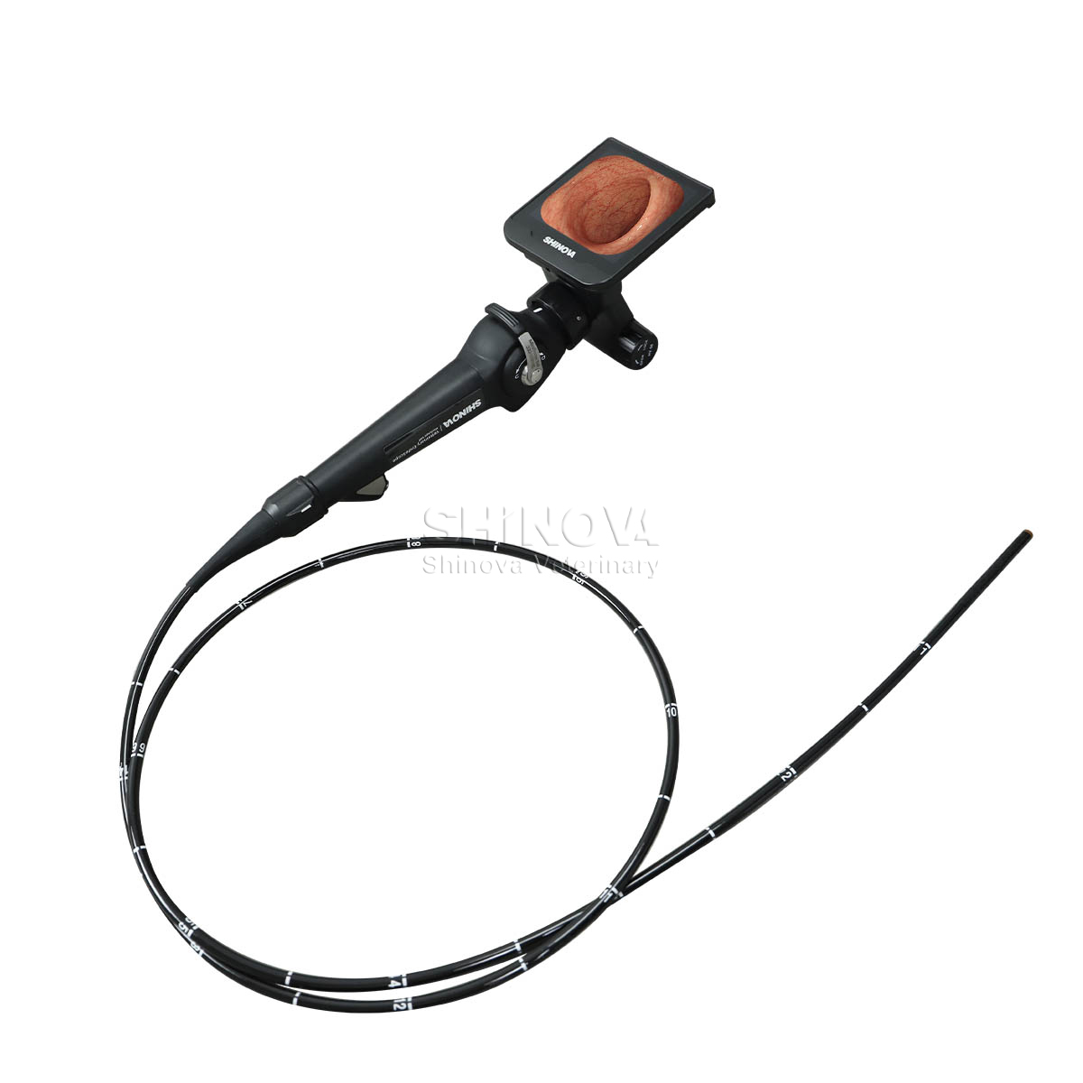 Endoscope vidéo haute définition à haute définition pour bronchoscopie équine
