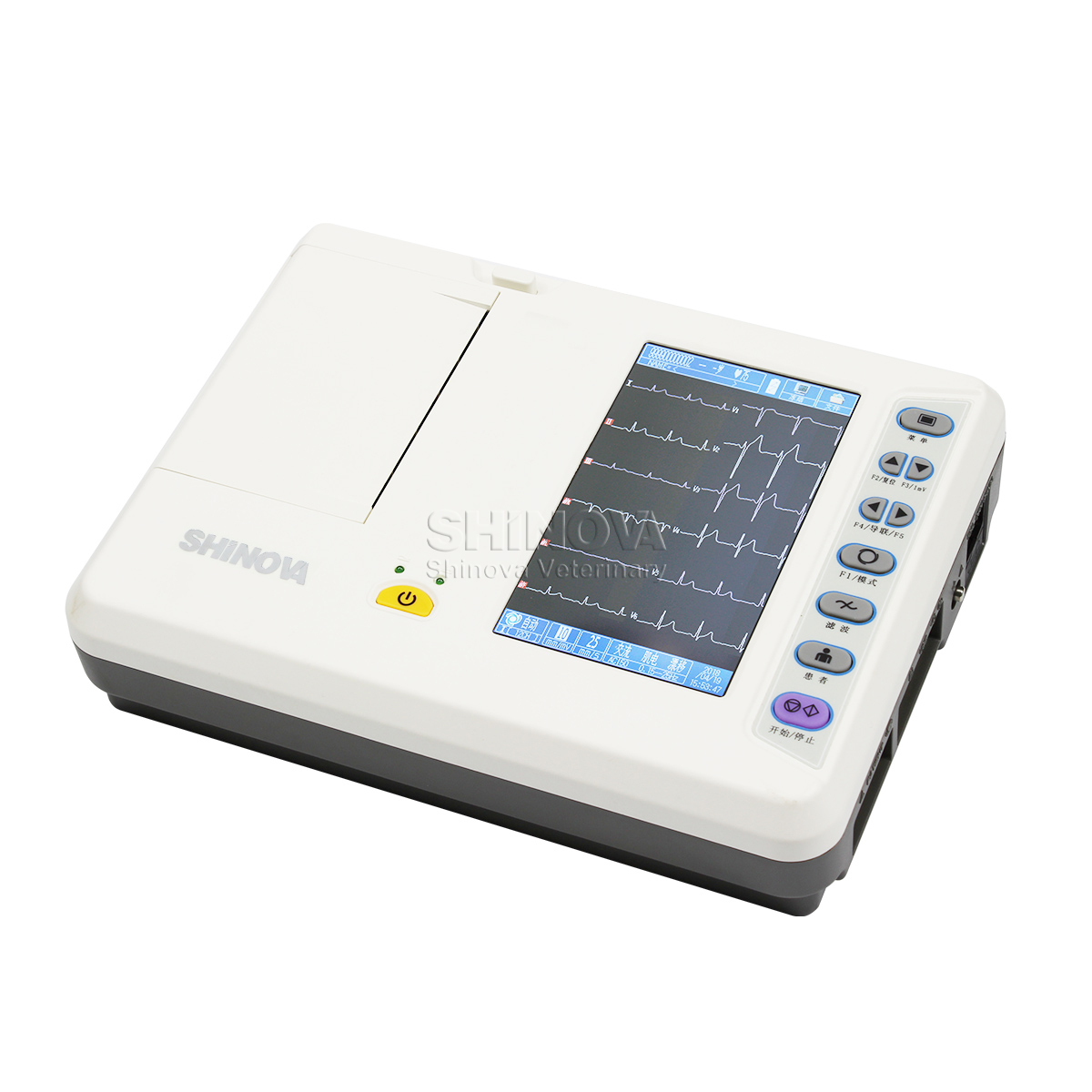 Électrocardiagraphe vétérinaire ECG vétérinaire portable