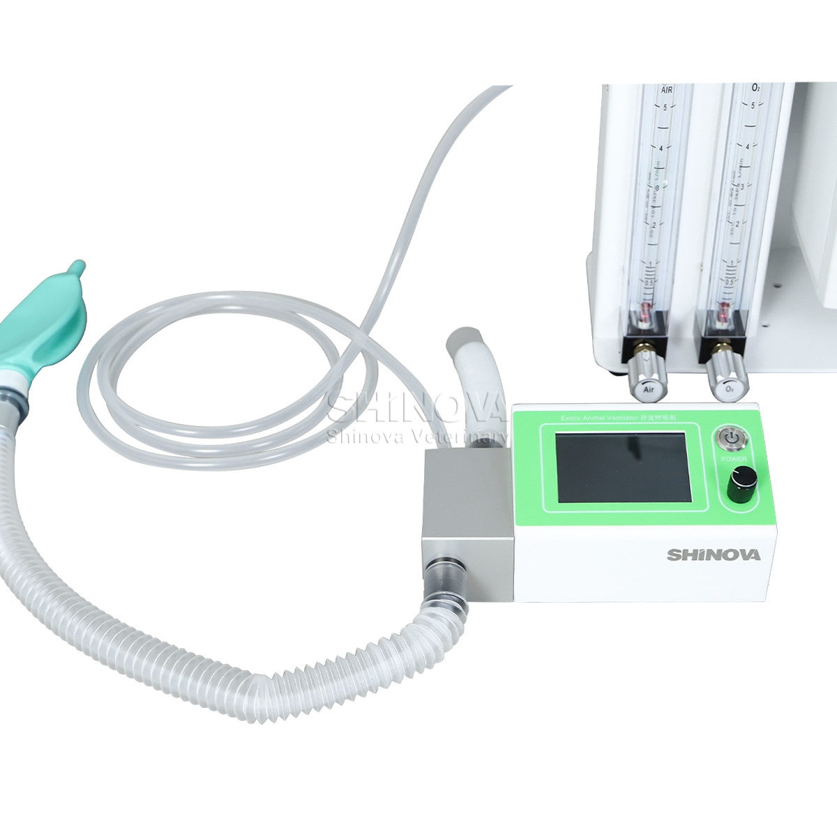 Ventilateur animal exotique