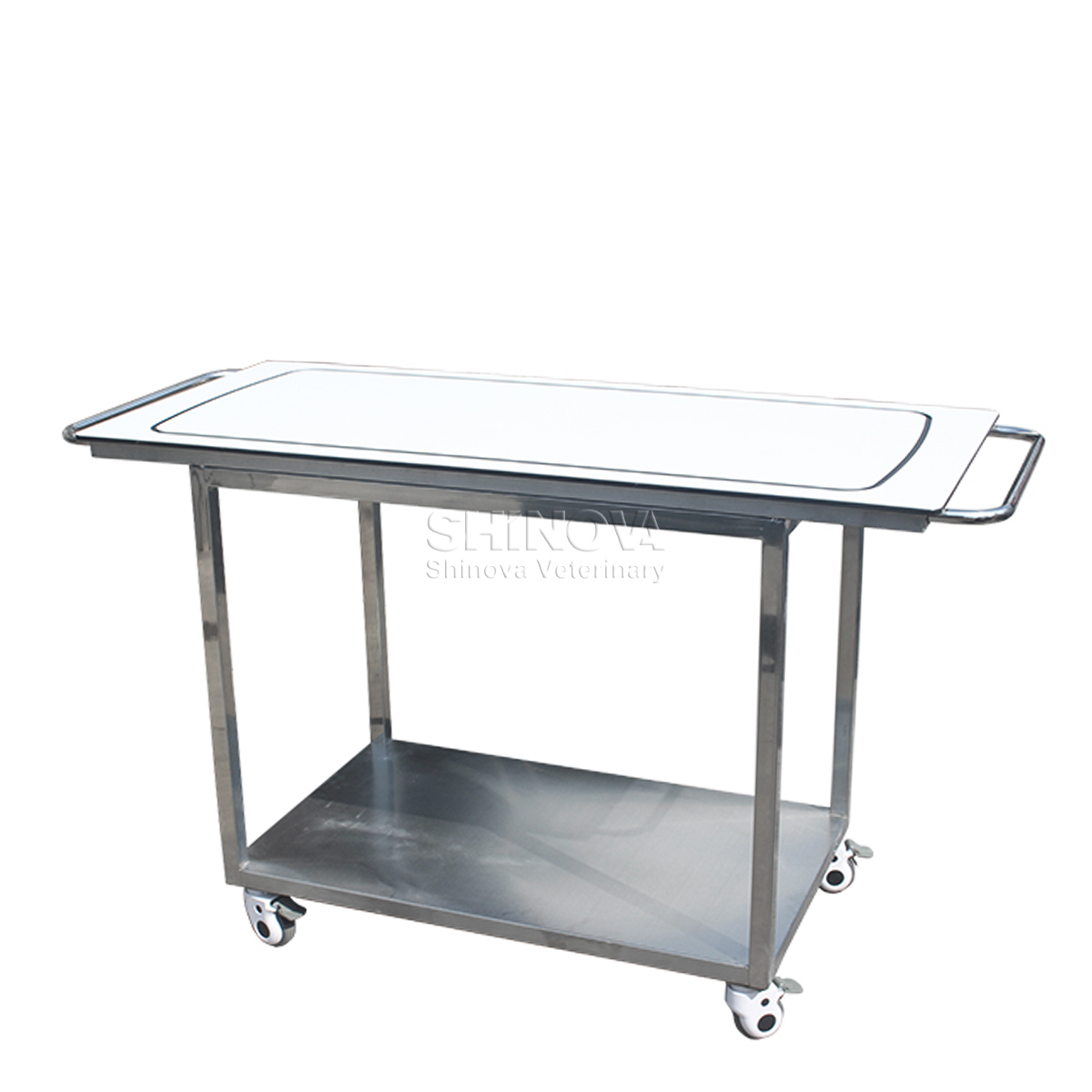 Chariot pour animaux de compagnie