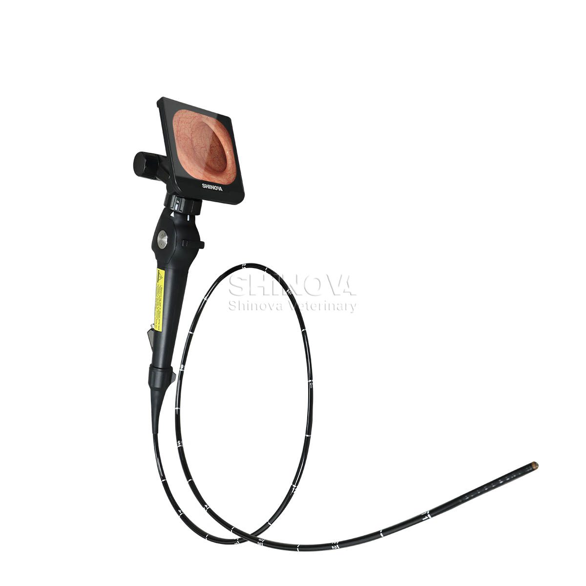 Endoscope vidéo haute définition à haute définition pour bronchoscopie équine