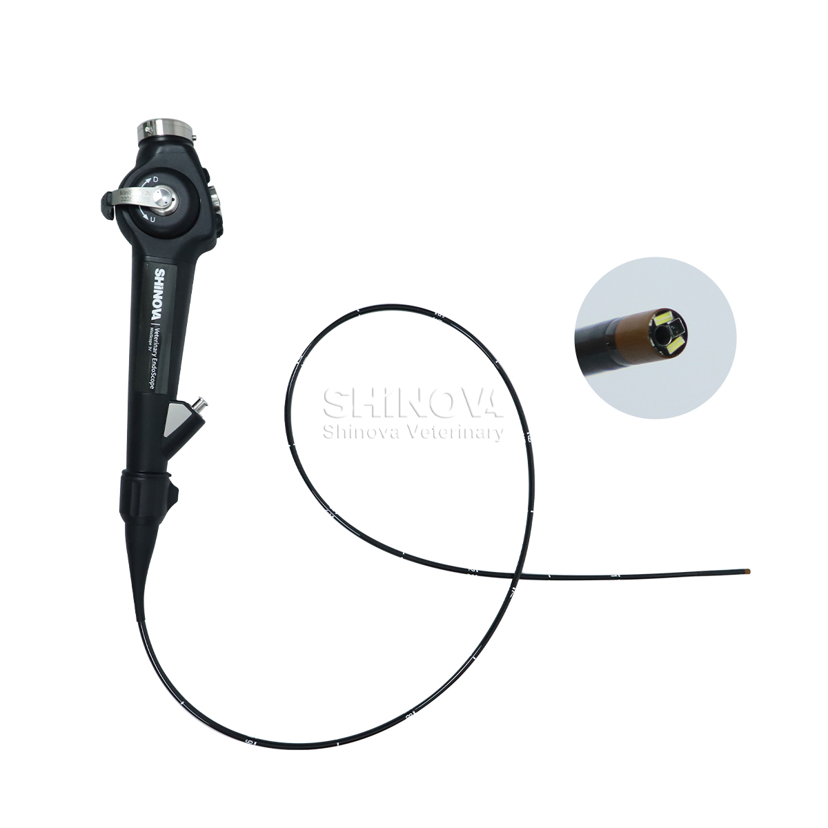 Endoscope vétérinaire portable (3,8 mm)