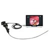 Endoscope vétérinaire portable (2,8 mm)