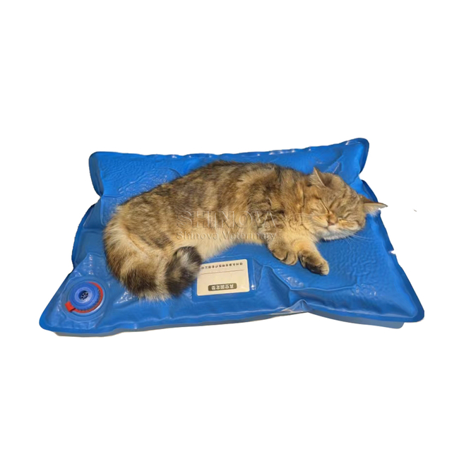 Coussin de fixation à l'aspirateur