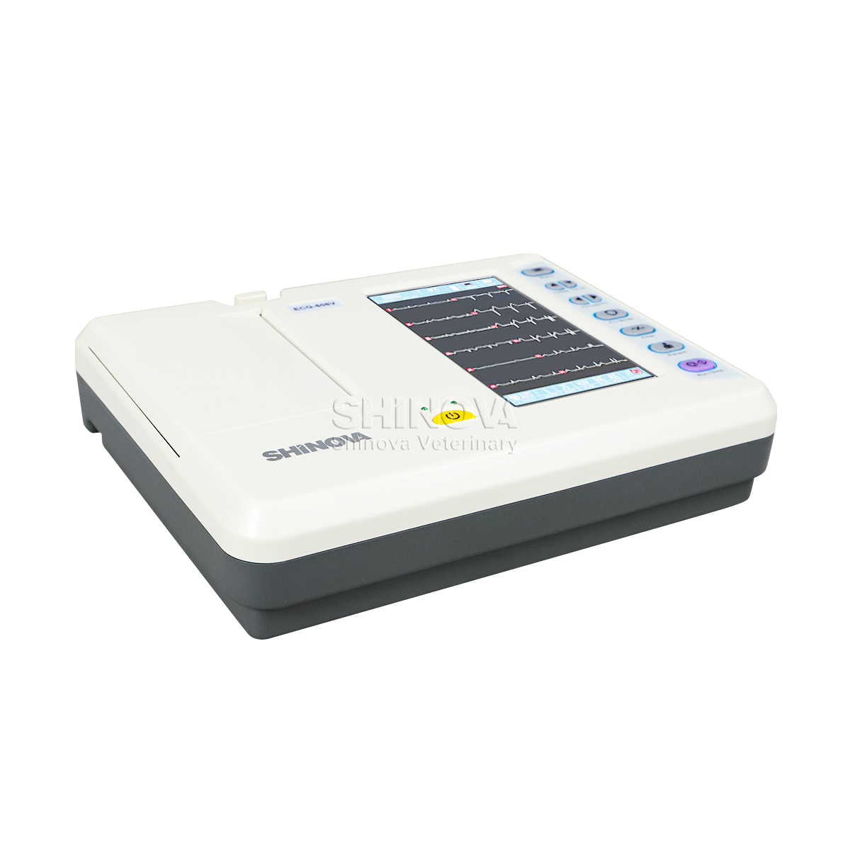 Électrocardiagraphe vétérinaire ECG vétérinaire portable