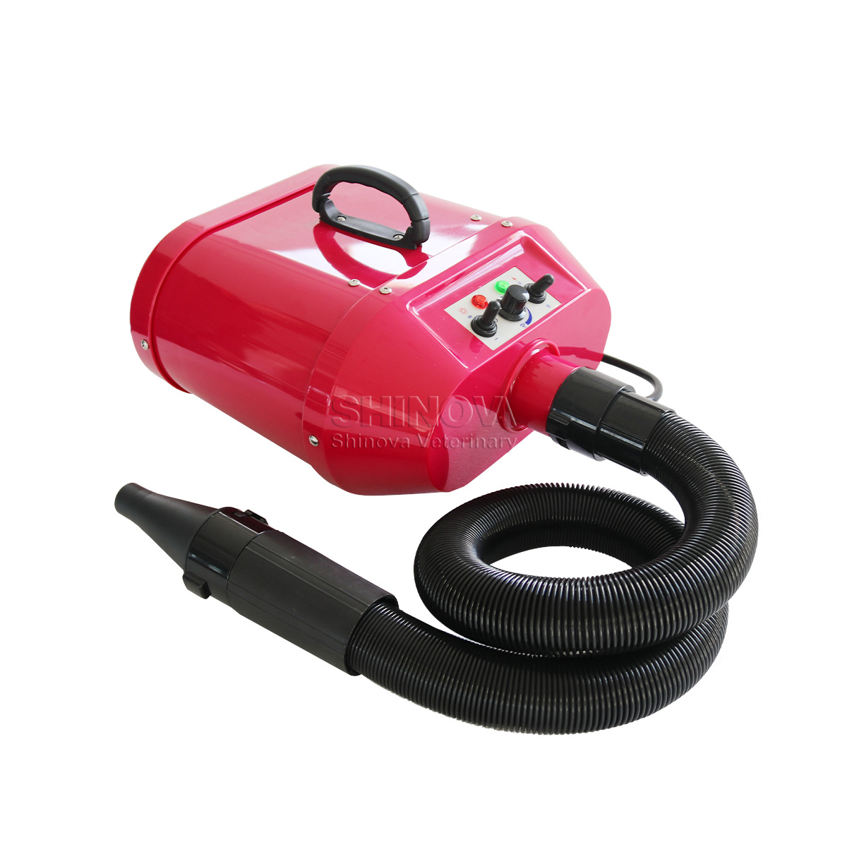 Bluant pour animaux de compagnie à double moteur