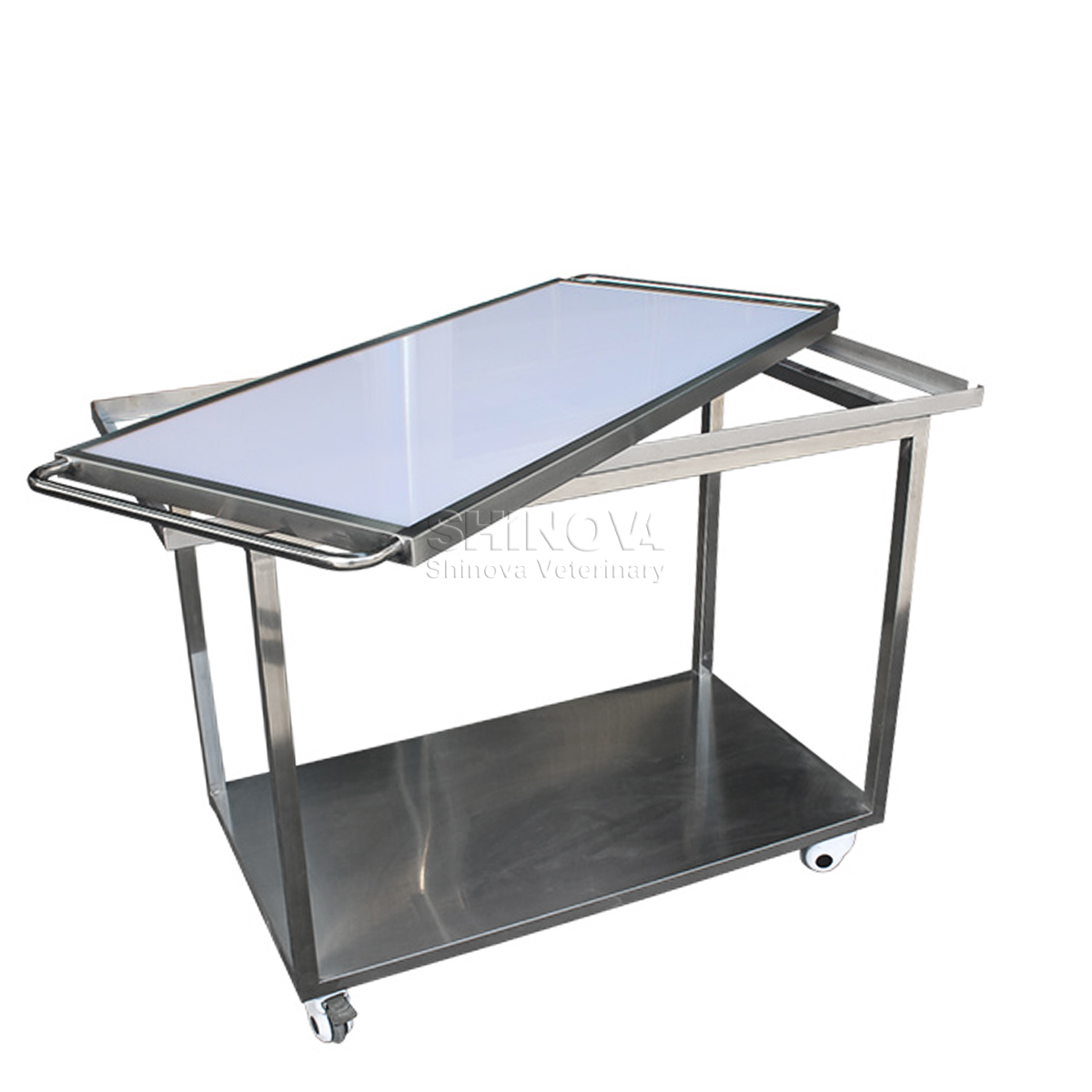 Chariot pour animaux de compagnie