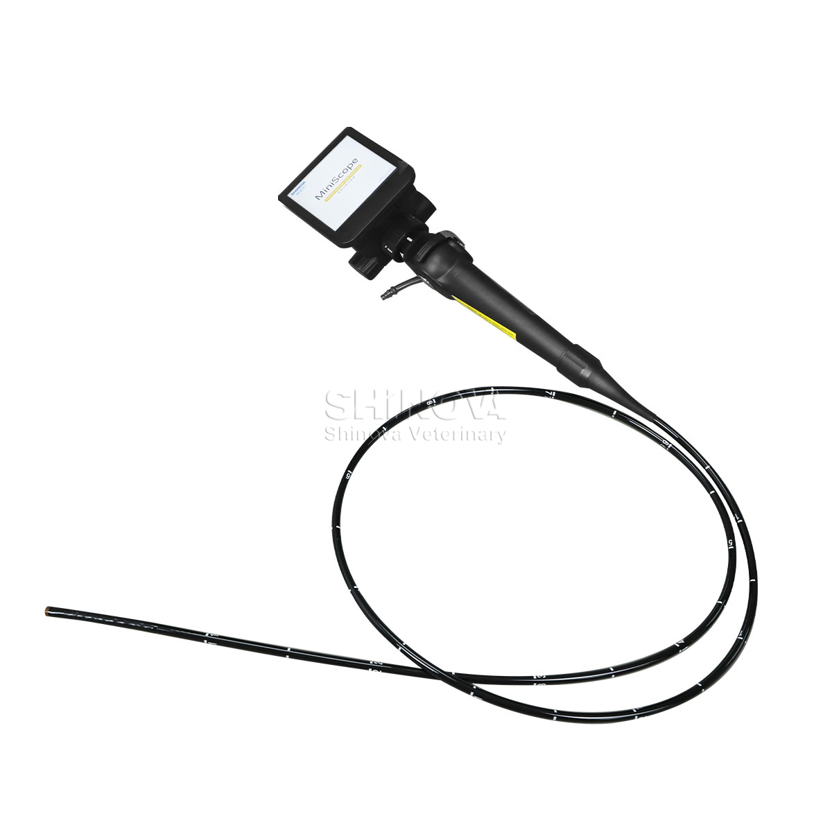 Endoscope vidéo haute définition à haute définition pour bronchoscopie équine