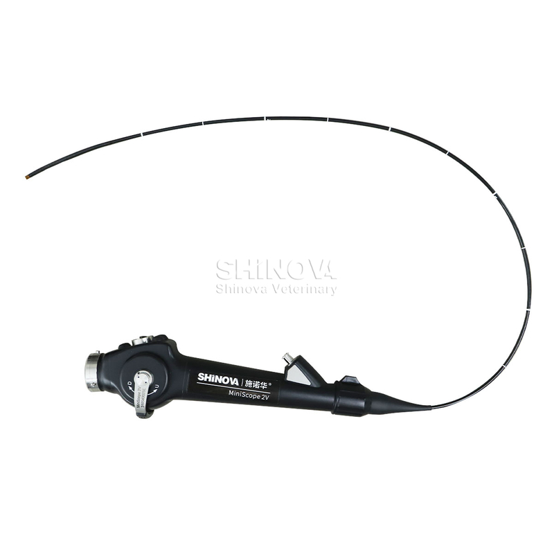Endoscope vétérinaire portable (2,8 mm)
