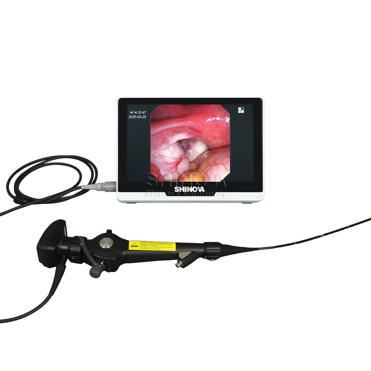 Endoscope vétérinaire portable (2,8 mm)