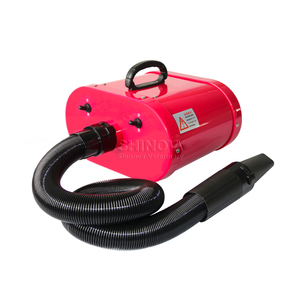 Bluant pour animaux de compagnie à double moteur
