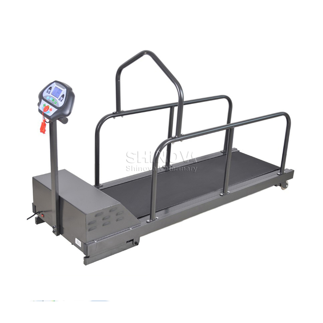 Tapis roulant de chien